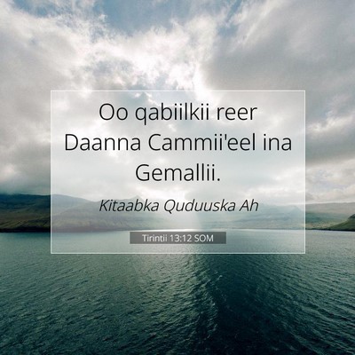 Picture 07 - Tirintii 13:12 SOM - Oo qabiilkii reer Daanna Cammii'eel ina - Bible Verse Picture