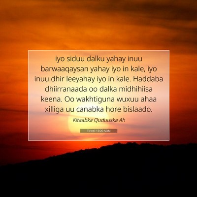 Picture 07 - Tirintii 13:20 SOM - iyo siduu dalku yahay inuu barwaaqaysan yahay iyo - Bible Verse Picture