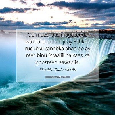 Picture 07 - Tirintii 13:24 SOM - Oo meeshaas magaceeda waxaa la odhan jiray - Bible Verse Picture