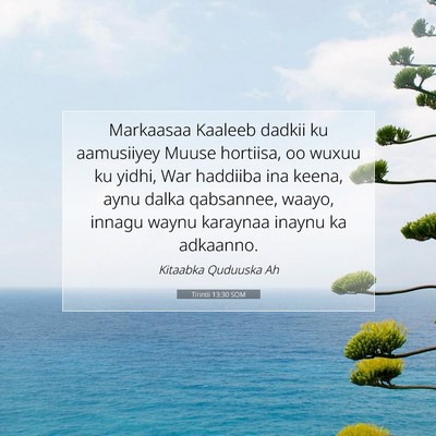 Picture 07 - Tirintii 13:30 SOM - Markaasaa Kaaleeb dadkii ku aamusiiyey Muuse - Bible Verse Picture