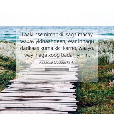 Picture 07 - Tirintii 13:31 SOM - Laakiinse nimankii isaga raacay waxay - Bible Verse Picture