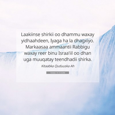 Picture 07 - Tirintii 14:10 SOM - Laakiinse shirkii oo dhammu waxay yidhaahdeen, - Bible Verse Picture