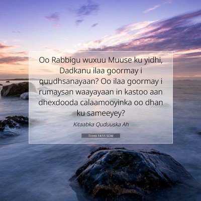 Picture 07 - Tirintii 14:11 SOM - Oo Rabbigu wuxuu Muuse ku yidhi, Dadkanu ilaa - Bible Verse Picture