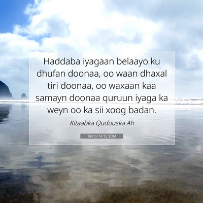 Picture 07 - Tirintii 14:12 SOM - Haddaba iyagaan belaayo ku dhufan doonaa, oo waan - Bible Verse Picture