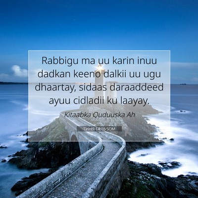 Picture 07 - Tirintii 14:16 SOM - Rabbigu ma uu karin inuu dadkan keeno dalkii uu - Bible Verse Picture
