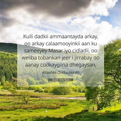 Picture 07 - Tirintii 14:22 SOM - Kulli dadkii ammaantayda arkay, oo arkay - Bible Verse Picture