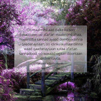 Picture 07 - Tirintii 14:34 SOM - Oo maalmihii aad dalka ku soo basaasteen oo - Bible Verse Picture
