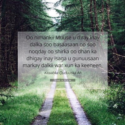 Picture 07 - Tirintii 14:36 SOM - Oo nimankii Muuse u diray inay dalka soo - Bible Verse Picture