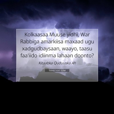 Picture 07 - Tirintii 14:41 SOM - Kolkaasaa Muuse yidhi, War Rabbiga amarkiisa - Bible Verse Picture