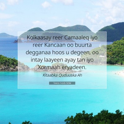 Picture 07 - Tirintii 14:45 SOM - Kolkaasay reer Camaaleq iyo reer Kancaan oo - Bible Verse Picture