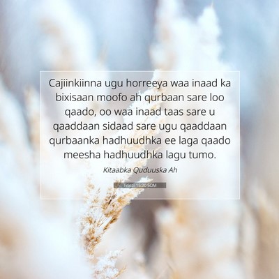 Picture 07 - Tirintii 15:20 SOM - Cajiinkiinna ugu horreeya waa inaad ka bixisaan - Bible Verse Picture