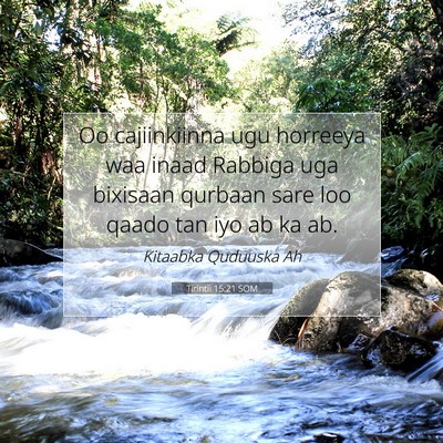 Picture 07 - Tirintii 15:21 SOM - Oo cajiinkiinna ugu horreeya waa inaad Rabbiga - Bible Verse Picture