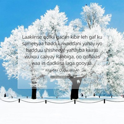 Picture 07 - Tirintii 15:30 SOM - Laakiinse qofkii gacan kibir leh gaf ku sameeyaa - Bible Verse Picture