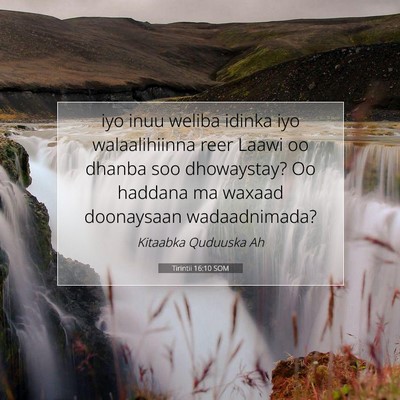 Picture 07 - Tirintii 16:10 SOM - iyo inuu weliba idinka iyo walaalihiinna reer - Bible Verse Picture