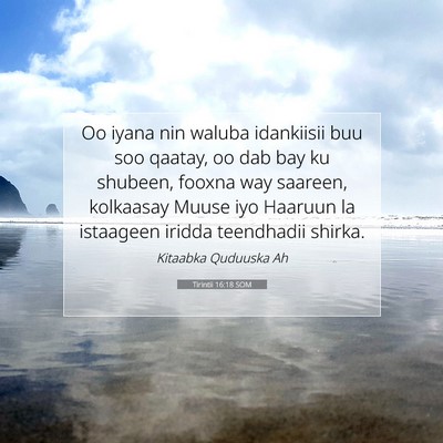 Picture 07 - Tirintii 16:18 SOM - Oo iyana nin waluba idankiisii buu soo qaatay, oo - Bible Verse Picture