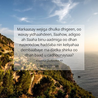 Picture 07 - Tirintii 16:22 SOM - Markaasay wejiga dhulka dhigeen, oo waxay - Bible Verse Picture