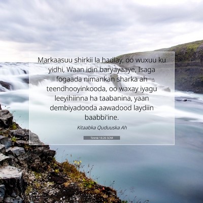 Picture 07 - Tirintii 16:26 SOM - Markaasuu shirkii la hadlay, oo wuxuu ku yidhi, - Bible Verse Picture