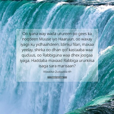 Picture 07 - Tirintii 16:3 SOM - Oo iyana way wada urureen oo gees ka noqdeen - Bible Verse Picture