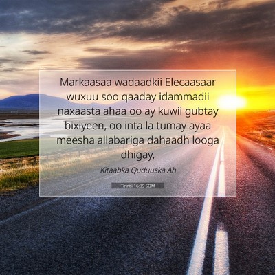 Picture 07 - Tirintii 16:39 SOM - Markaasaa wadaadkii Elecaasaar wuxuu soo qaaday - Bible Verse Picture