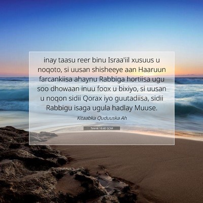 Picture 07 - Tirintii 16:40 SOM - inay taasu reer binu Israa'iil xusuus u noqoto, - Bible Verse Picture