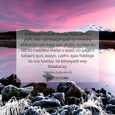 Picture 07 - Tirintii 16:46 SOM - Kolkaasaa Muuse wuxuu Haaruun ku yidhi, War - Bible Verse Picture