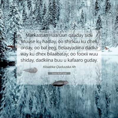 Picture 07 - Tirintii 16:47 SOM - Markaasaa Haaruun qaaday sidii Muuse ku hadlay, - Bible Verse Picture