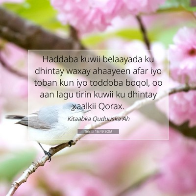 Picture 07 - Tirintii 16:49 SOM - Haddaba kuwii belaayada ku dhintay waxay ahaayeen - Bible Verse Picture