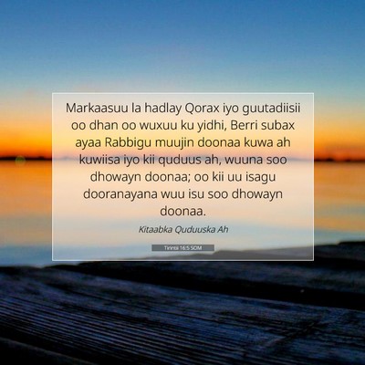 Picture 07 - Tirintii 16:5 SOM - Markaasuu la hadlay Qorax iyo guutadiisii oo dhan - Bible Verse Picture