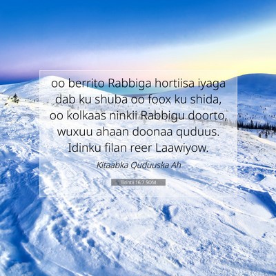 Picture 07 - Tirintii 16:7 SOM - oo berrito Rabbiga hortiisa iyaga dab ku shuba oo - Bible Verse Picture