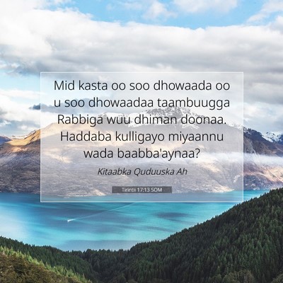 Picture 07 - Tirintii 17:13 SOM - Mid kasta oo soo dhowaada oo u soo dhowaadaa - Bible Verse Picture