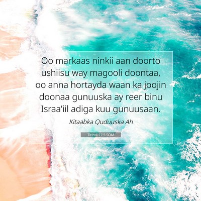 Picture 07 - Tirintii 17:5 SOM - Oo markaas ninkii aan doorto ushiisu way magooli - Bible Verse Picture