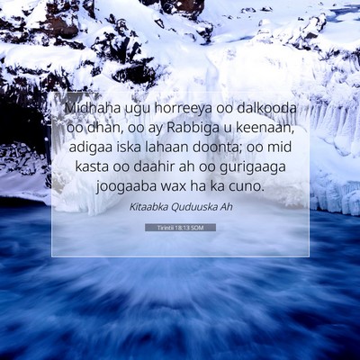 Picture 07 - Tirintii 18:13 SOM - Midhaha ugu horreeya oo dalkooda oo dhan, oo ay - Bible Verse Picture