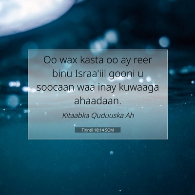 Picture 07 - Tirintii 18:14 SOM - Oo wax kasta oo ay reer binu Israa'iil gooni u - Bible Verse Picture