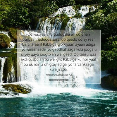 Picture 07 - Tirintii 18:19 SOM - Oo waxyaalaha quduuska ah oo dhan qurbaannadooda - Bible Verse Picture