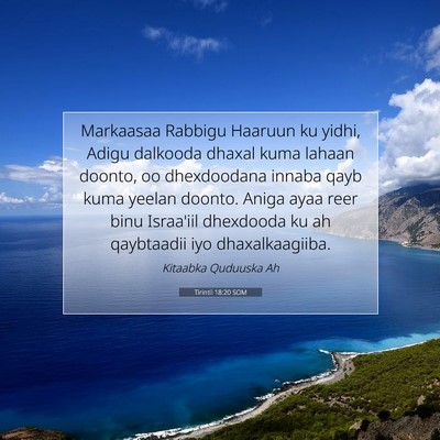 Picture 07 - Tirintii 18:20 SOM - Markaasaa Rabbigu Haaruun ku yidhi, Adigu - Bible Verse Picture