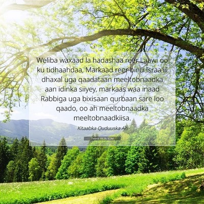 Picture 07 - Tirintii 18:26 SOM - Weliba waxaad la hadashaa reer Laawi oo ku - Bible Verse Picture