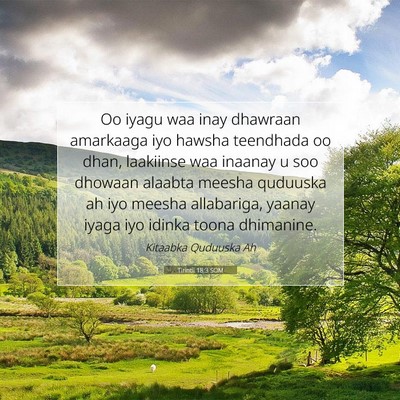 Picture 07 - Tirintii 18:3 SOM - Oo iyagu waa inay dhawraan amarkaaga iyo hawsha - Bible Verse Picture