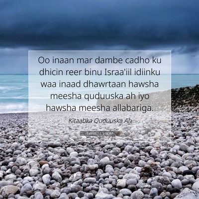 Picture 07 - Tirintii 18:5 SOM - Oo inaan mar dambe cadho ku dhicin reer binu - Bible Verse Picture