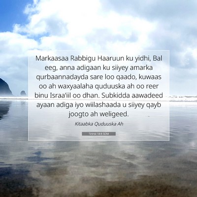 Picture 07 - Tirintii 18:8 SOM - Markaasaa Rabbigu Haaruun ku yidhi, Bal eeg, anna - Bible Verse Picture