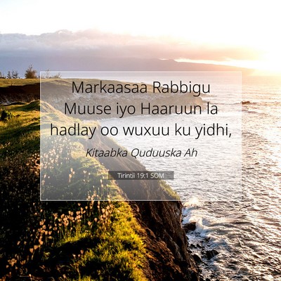 Picture 07 - Tirintii 19:1 SOM - Markaasaa Rabbigu Muuse iyo Haaruun la hadlay oo - Bible Verse Picture