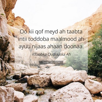 Picture 07 - Tirintii 19:11 SOM - Oo kii qof meyd ah taabta intii toddoba maalmood - Bible Verse Picture