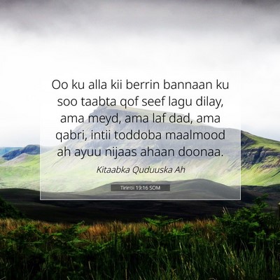 Picture 07 - Tirintii 19:16 SOM - Oo ku alla kii berrin bannaan ku soo taabta qof - Bible Verse Picture