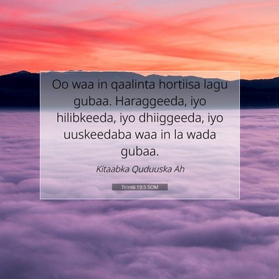Picture 07 - Tirintii 19:5 SOM - Oo waa in qaalinta hortiisa lagu gubaa. - Bible Verse Picture