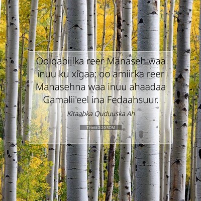 Picture 07 - Tirintii 2:20 SOM - Oo qabiilka reer Manaseh waa inuu ku xigaa; oo - Bible Verse Picture
