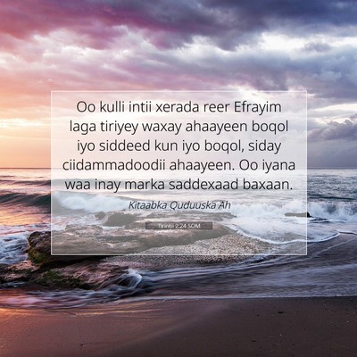 Picture 07 - Tirintii 2:24 SOM - Oo kulli intii xerada reer Efrayim laga tiriyey - Bible Verse Picture