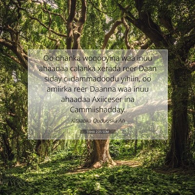 Picture 07 - Tirintii 2:25 SOM - Oo dhanka woqooyina waa inuu ahaadaa calanka - Bible Verse Picture