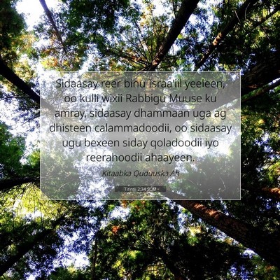 Picture 07 - Tirintii 2:34 SOM - Sidaasay reer binu Israa'iil yeeleen, oo kulli - Bible Verse Picture