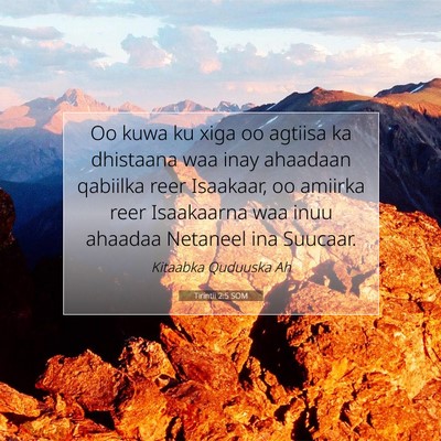 Picture 07 - Tirintii 2:5 SOM - Oo kuwa ku xiga oo agtiisa ka dhistaana waa inay - Bible Verse Picture
