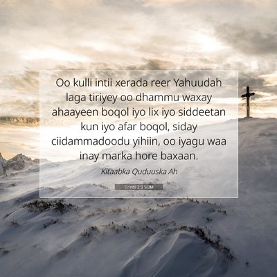 Picture 07 - Tirintii 2:9 SOM - Oo kulli intii xerada reer Yahuudah laga tiriyey - Bible Verse Picture
