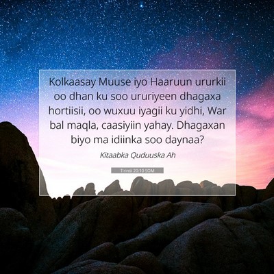 Picture 07 - Tirintii 20:10 SOM - Kolkaasay Muuse iyo Haaruun ururkii oo dhan ku - Bible Verse Picture